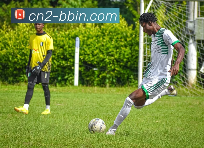 BBIN体育投注服务体系